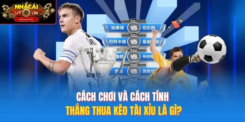 Cách chơi và cách tính thắng thua kèo tài xỉu là gì?