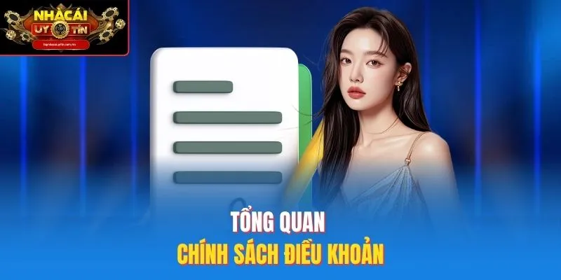 Tổng quan chính sách điều khoản