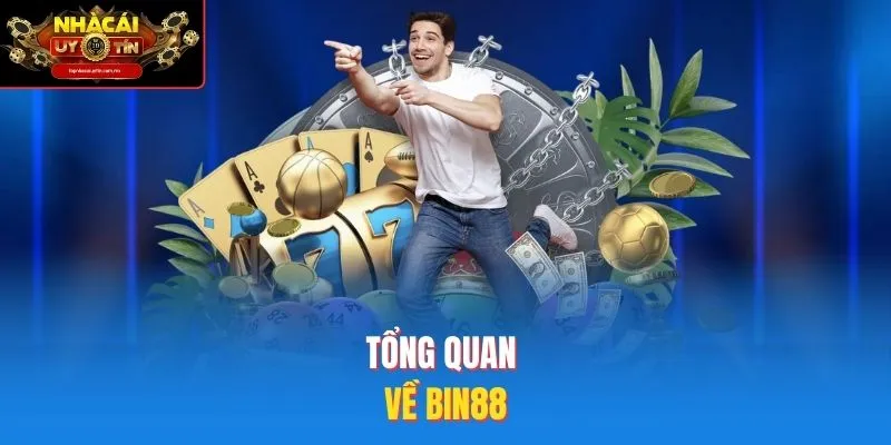 Tổng quan về bin88